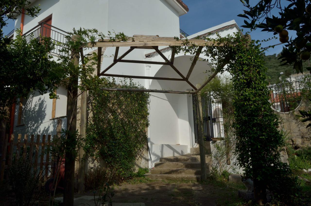 Il Giardino Del Sole Bed & Breakfast Roccarainola Dış mekan fotoğraf